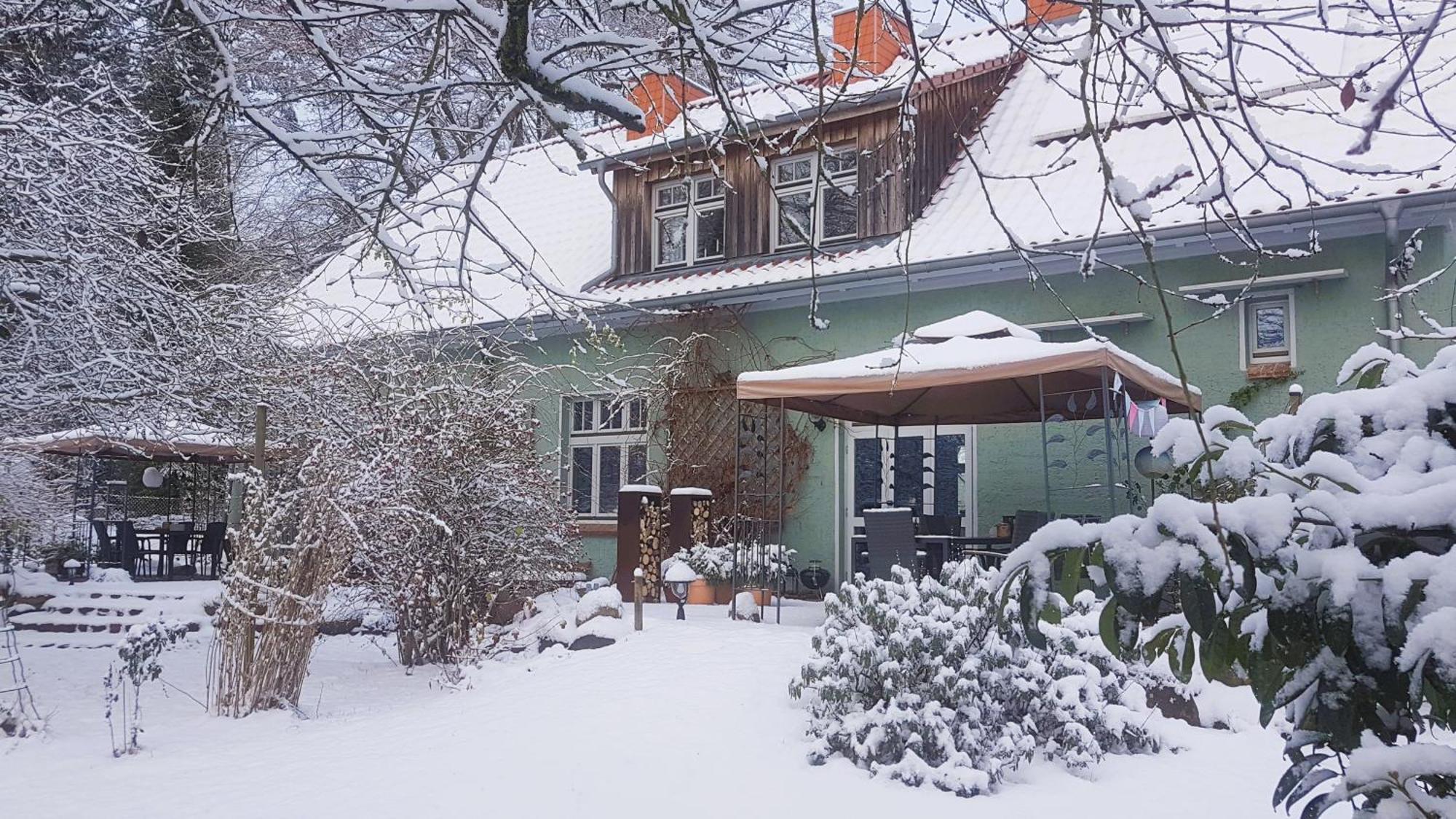 Ferienhaus Salvia Gremersdorf-Buchholz Kültér fotó