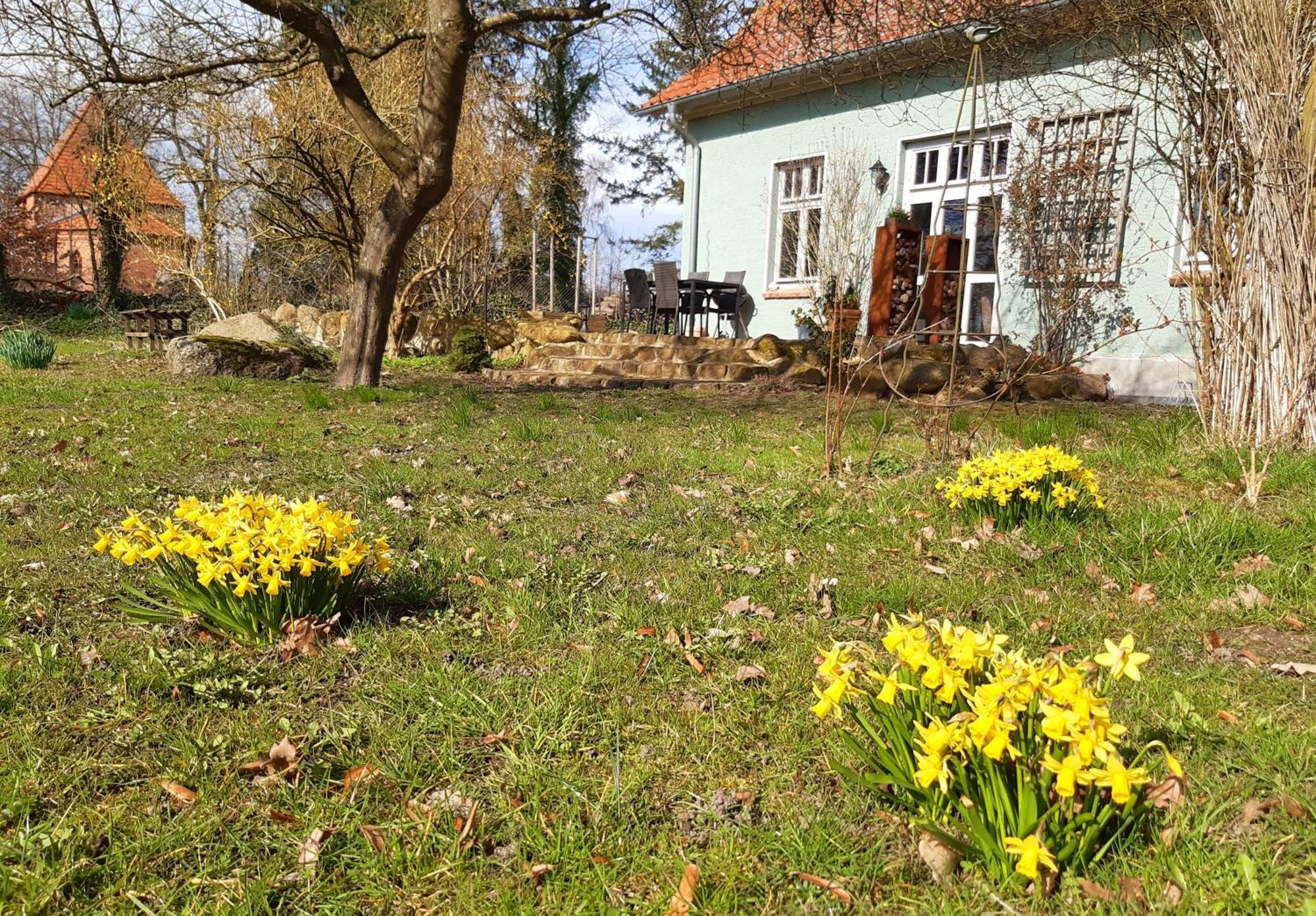 Ferienhaus Salvia Gremersdorf-Buchholz Kültér fotó