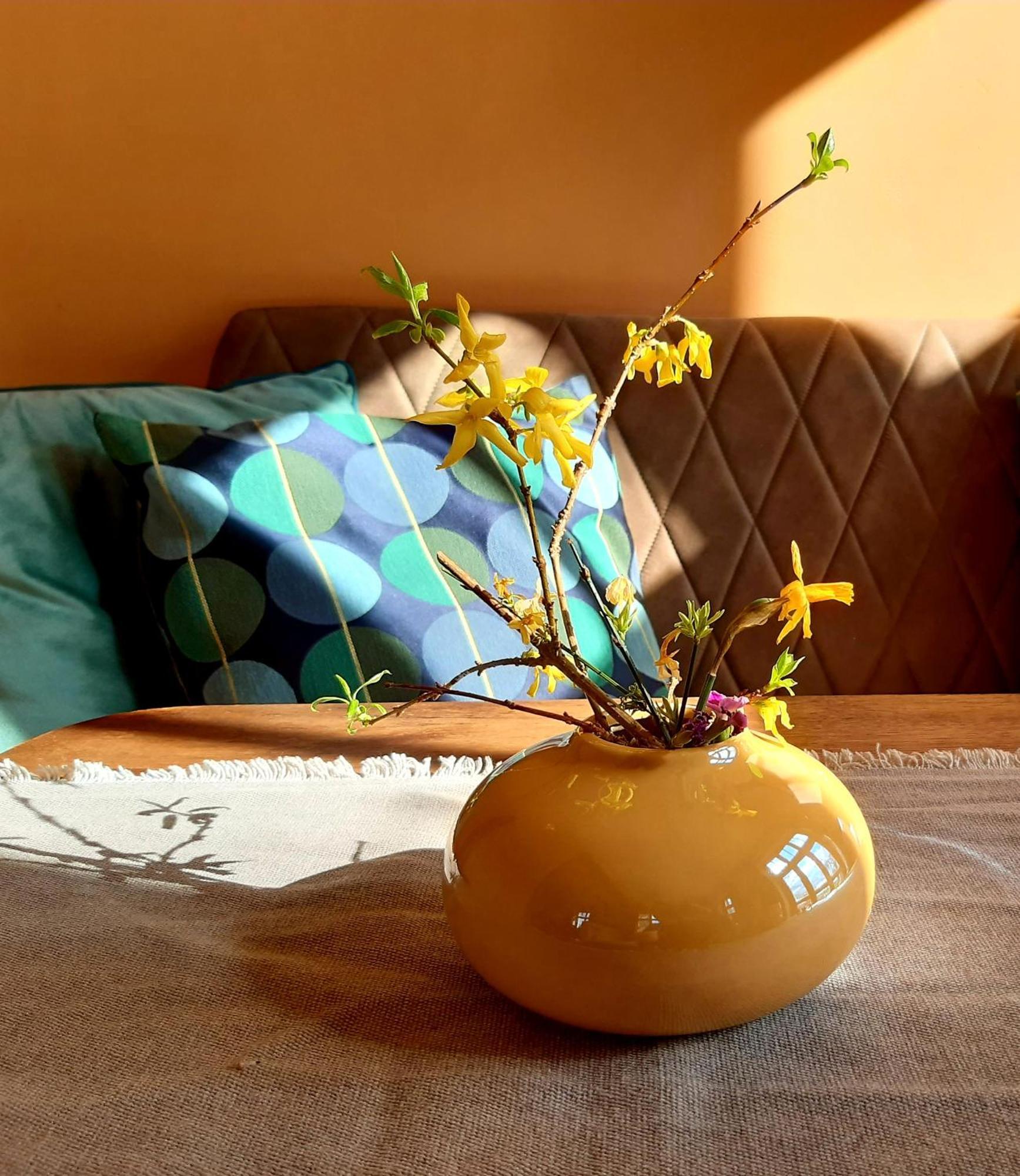Ferienhaus Salvia Gremersdorf-Buchholz Kültér fotó