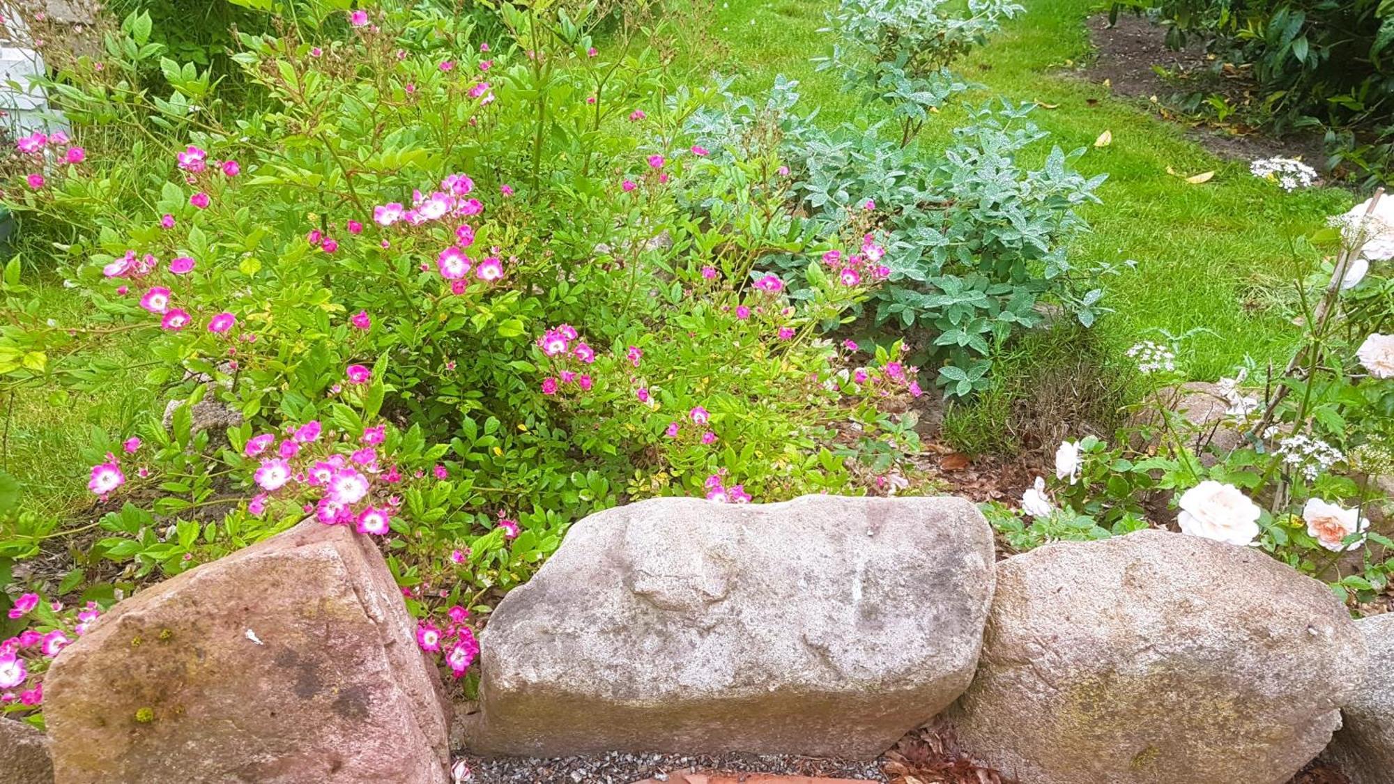 Ferienhaus Salvia Gremersdorf-Buchholz Kültér fotó