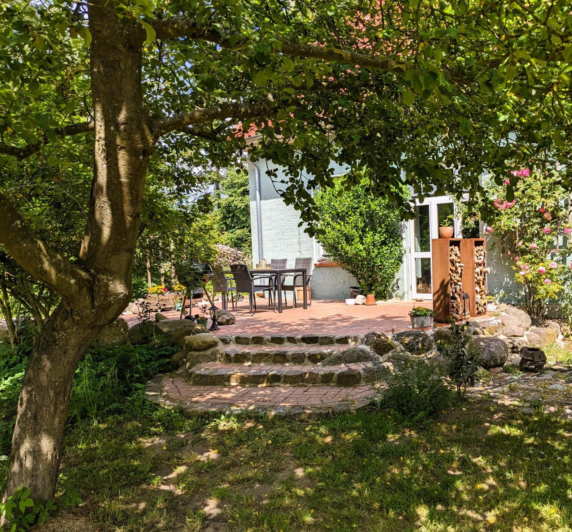 Ferienhaus Salvia Gremersdorf-Buchholz Kültér fotó